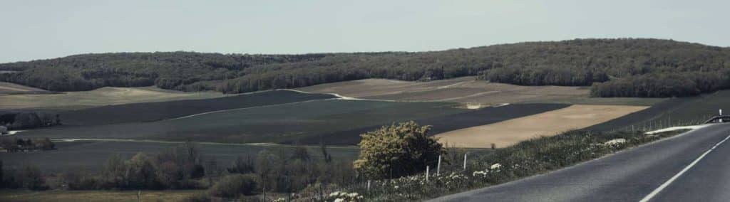 Route avec champs en arrière plan
